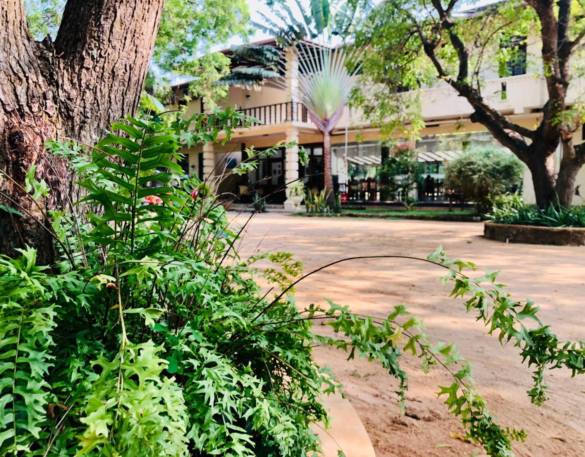 Saman Resort Yala Тисамахарама Екстериор снимка