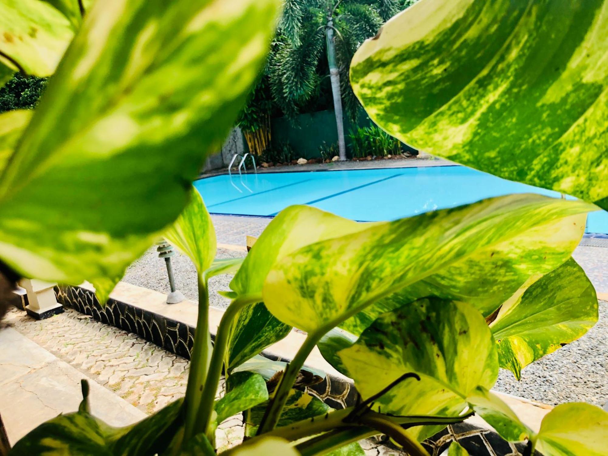 Saman Resort Yala Тисамахарама Екстериор снимка