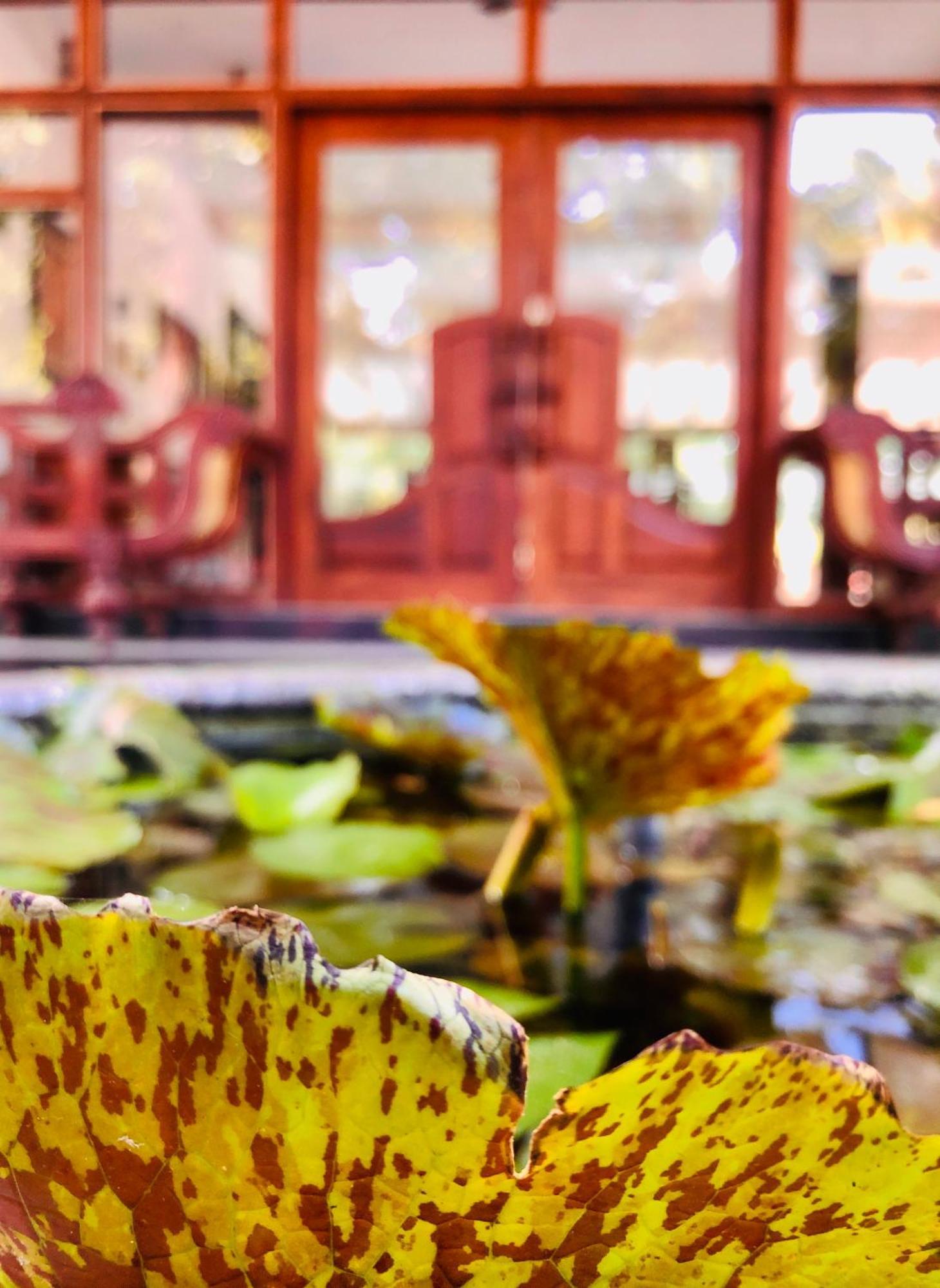Saman Resort Yala Тисамахарама Екстериор снимка