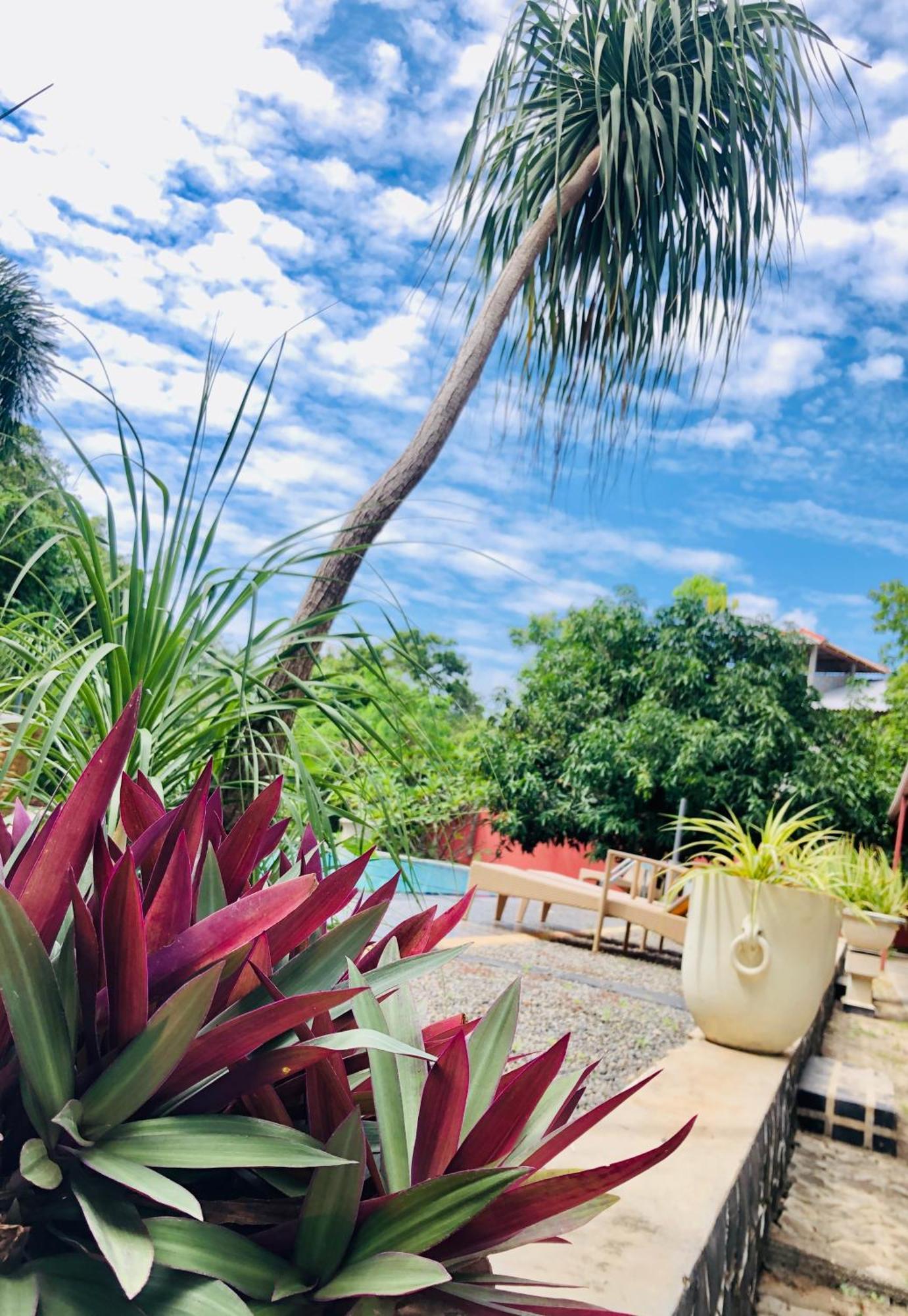 Saman Resort Yala Тисамахарама Екстериор снимка