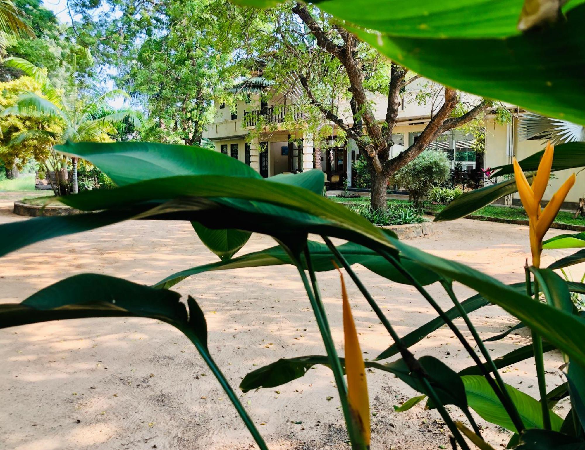 Saman Resort Yala Тисамахарама Екстериор снимка